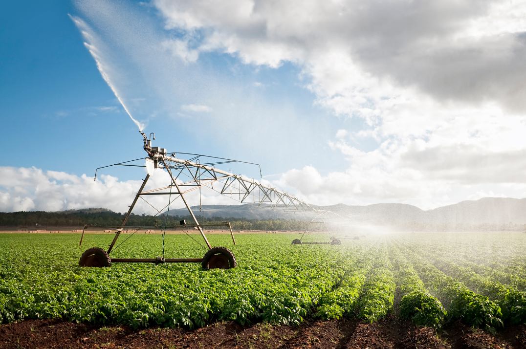 Irrigated green farmland